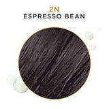 BEAUTIFUL GRAY SOLUTION SEMI COLOR 2N